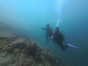 IMG_20260419_111059_012