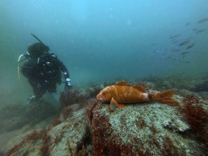 IMG_20260419_133900_027