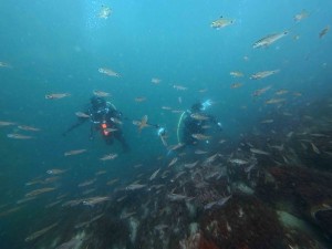 IMG_20260419_134319_029