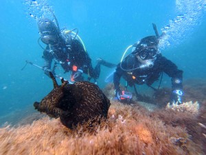 IMG_20260419_134948_030