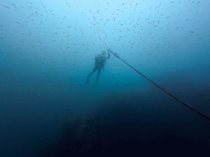 IMG_20260423_095953_049