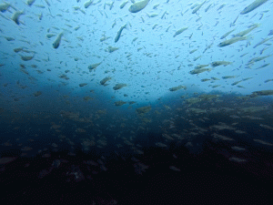 IMG_20260423_100356_057