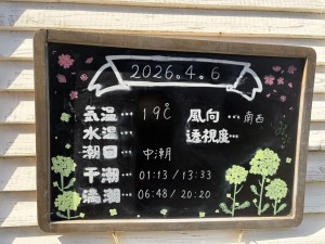 line_oa_chat_260406_171319