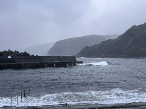 line_oa_chat_260410_074921