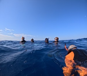 line_oa_chat_260410_174710