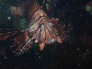 line_oa_chat_260412_184105