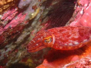 line_oa_chat_260412_184121