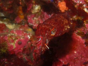 line_oa_chat_260412_184125