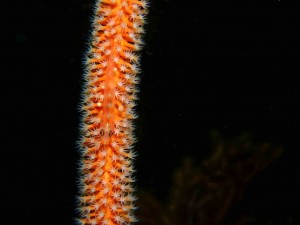 line_oa_chat_260412_184133