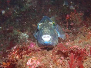 line_oa_chat_260412_184139