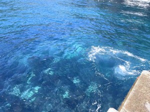 line_oa_chat_260412_184148