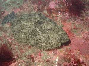 line_oa_chat_260412_184224