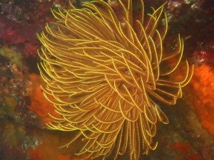 line_oa_chat_260413_171613