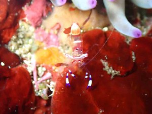 line_oa_chat_260413_171615