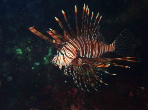 line_oa_chat_260413_171619