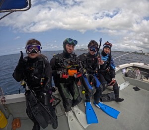 line_oa_chat_260417_184353