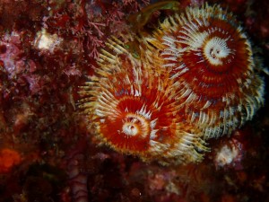 line_oa_chat_260423_152104