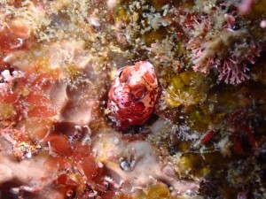 line_oa_chat_260423_152107