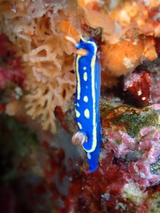 line_oa_chat_260423_152110