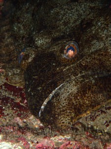 line_oa_chat_260423_152208