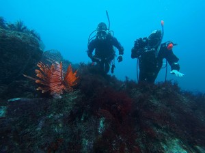 line_oa_chat_260425_201057