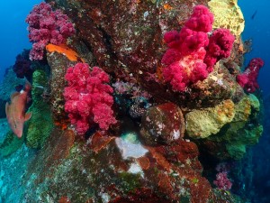 line_oa_chat_260425_204642