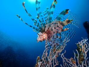 line_oa_chat_260425_204649