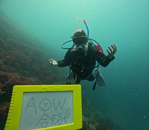 line_oa_chat_260426_174012