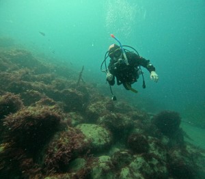 line_oa_chat_260426_174015