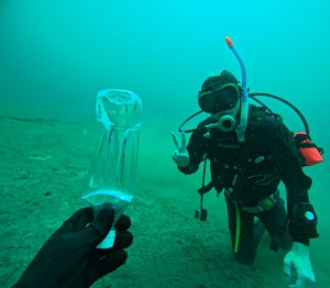 line_oa_chat_260426_174017