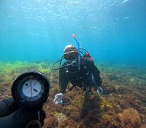 line_oa_chat_260426_174026