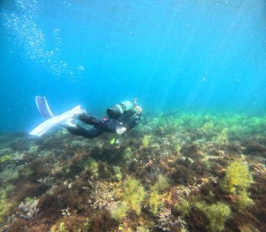 line_oa_chat_260426_174029