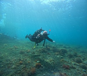 line_oa_chat_260426_174043