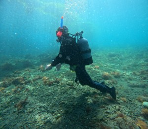 line_oa_chat_260426_174048