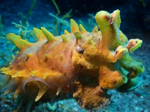 line_oa_chat_260426_174820