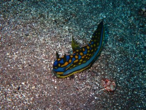 line_oa_chat_260426_174832