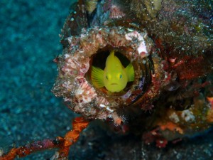 line_oa_chat_260426_181922