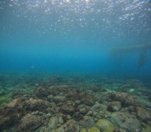 DCIM100GOPROGOPR8335.JPG