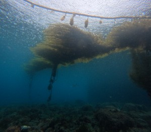 DCIM100GOPROGOPR8337.JPG