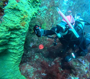 DCIM100GOPROGOPR8384.JPG