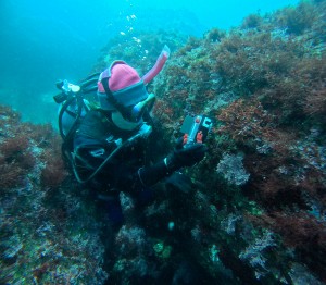 DCIM100GOPROGOPR8385.JPG