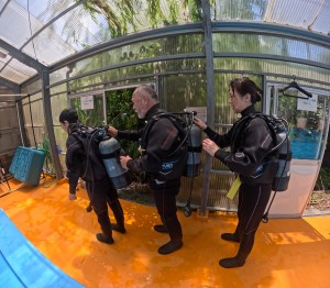 DCIM100GOPROGOPR8480.JPG