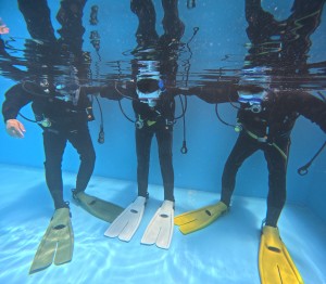 DCIM100GOPROGOPR8482.JPG