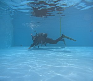 DCIM100GOPROGOPR8487.JPG
