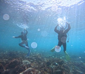 DCIM100GOPROGOPR8499.JPG