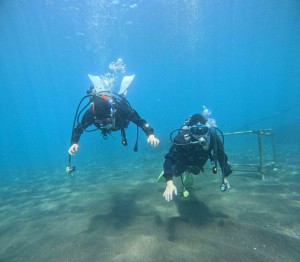 DCIM100GOPROGOPR8511.JPG