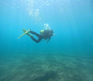 DCIM100GOPROGOPR8517.JPG