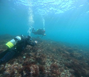 DCIM100GOPROGOPR8520.JPG