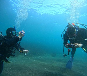 DCIM100GOPROGOPR8521.JPG