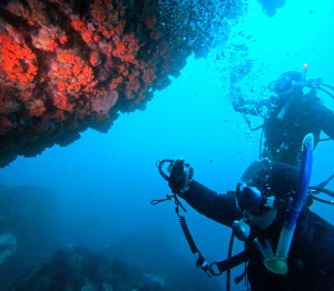 DCIM100GOPROGOPR8547.JPG